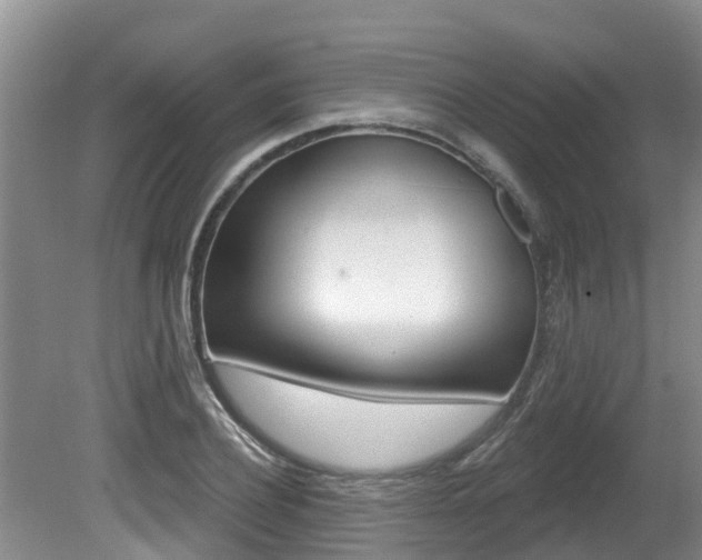 X0000080670932200612150757
