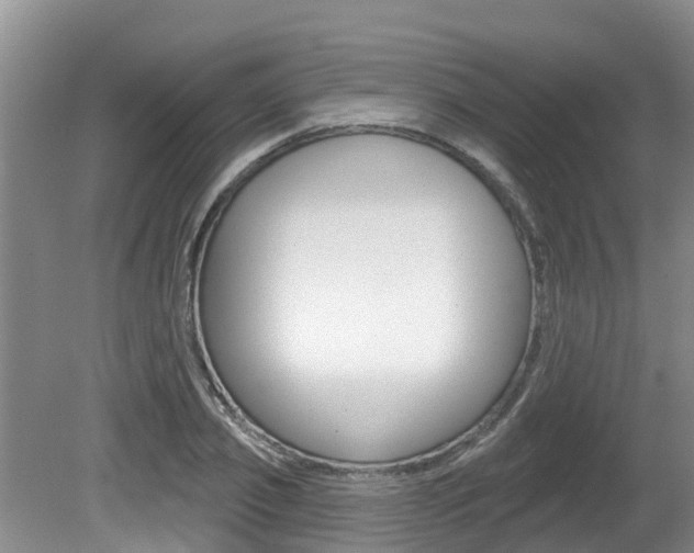 X0000080670933200612150757