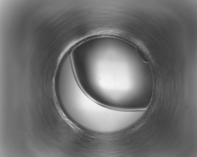 X0000080670936200612150757