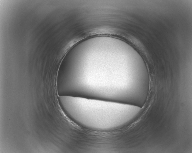 X0000080670937200612150757