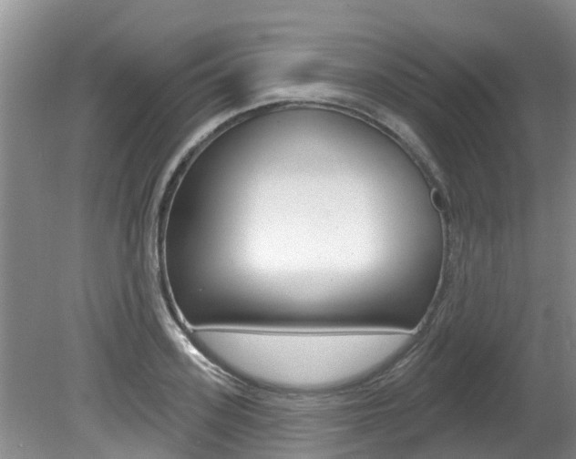 X0000080670939200612150757