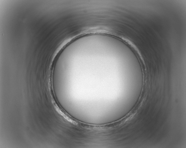 X0000080670941200612150758