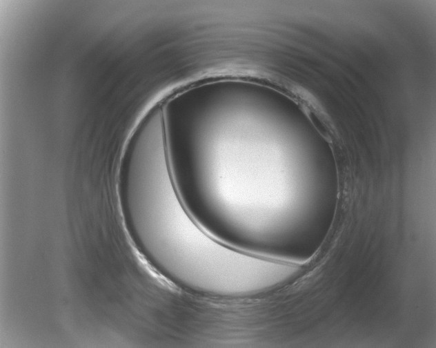 X0000080670942200612150758