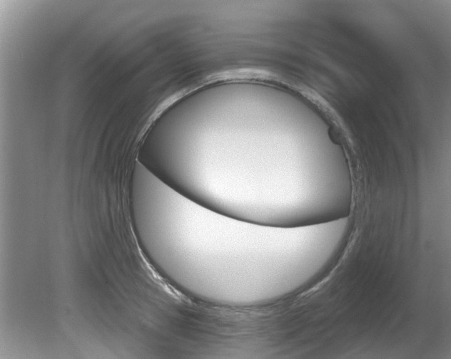 X0000080670945200612150758