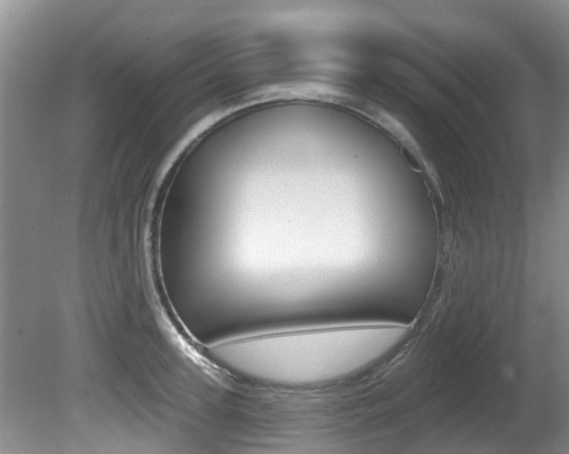 X0000080670947200612150758