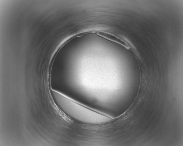 X0000080670948200612150758