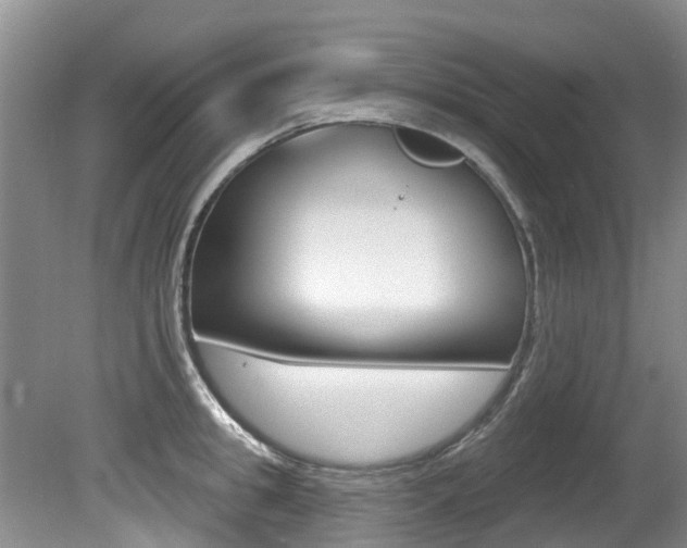 X0000080670949200612150758