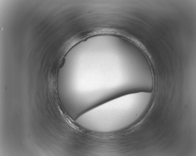 X0000080670953200612150758