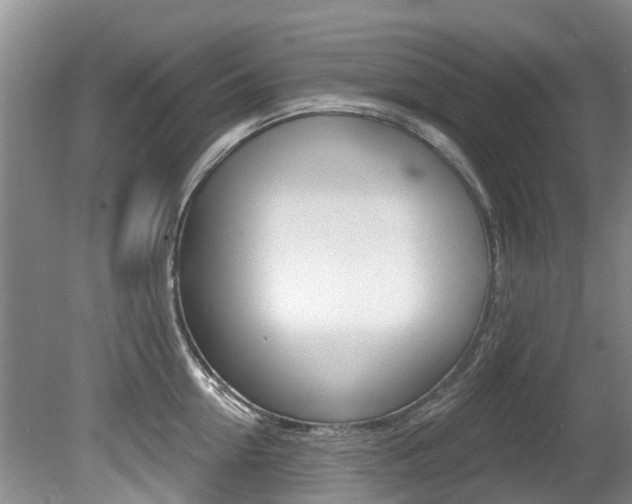 X0000080670954200612150758