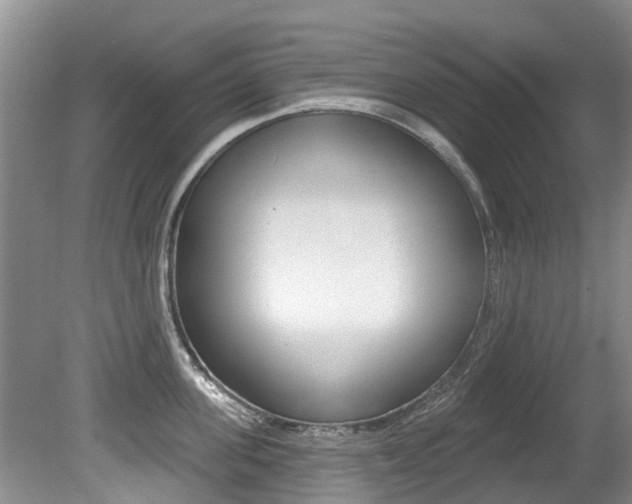 X0000080670955200612150758