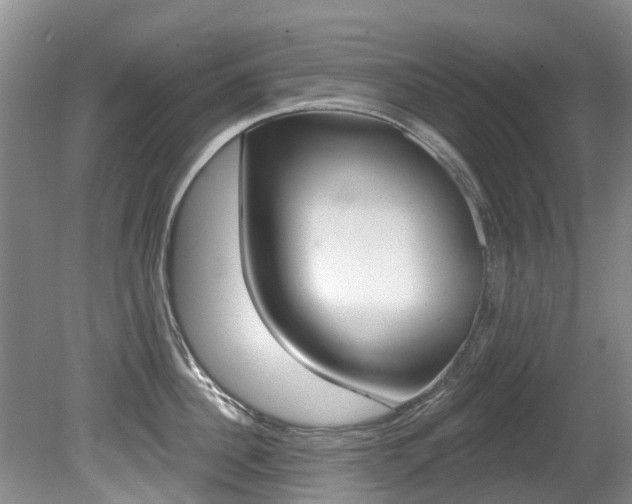 X0000080670956200612150758