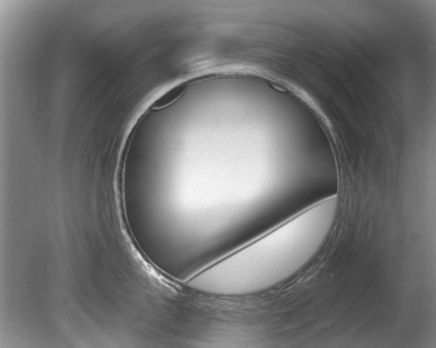 X0000080670959200612150758