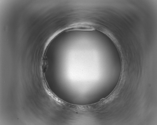 X0000080670960200612150758