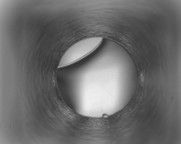 X0000080670963200612150757