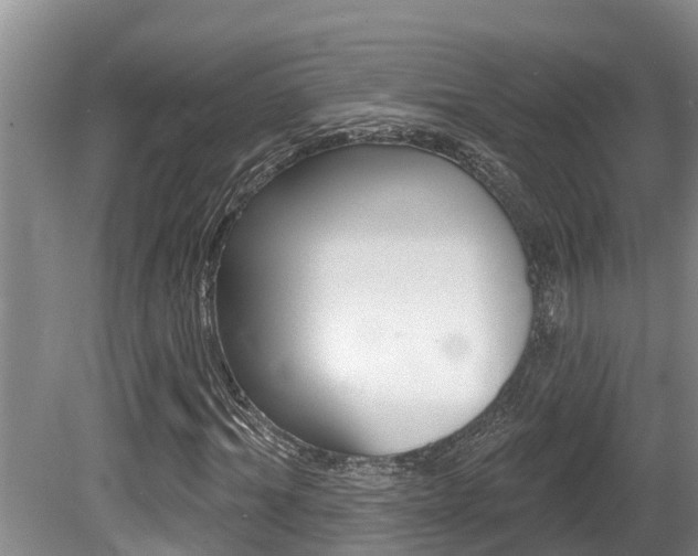 X0000080670964200612150757