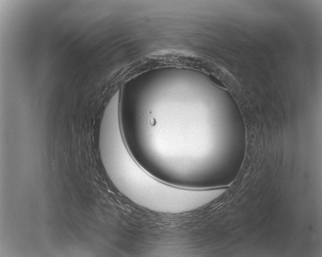 X0000080670965200612150757
