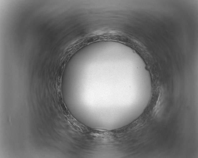X0000080670966200612150757