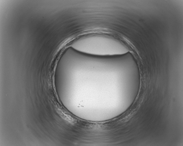 X0000080670970200612150757