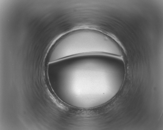 X0000080670972200612150757