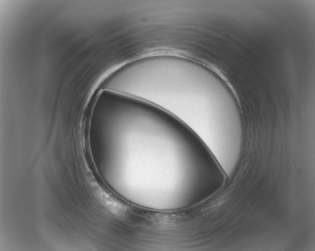 X0000080670987200612150757
