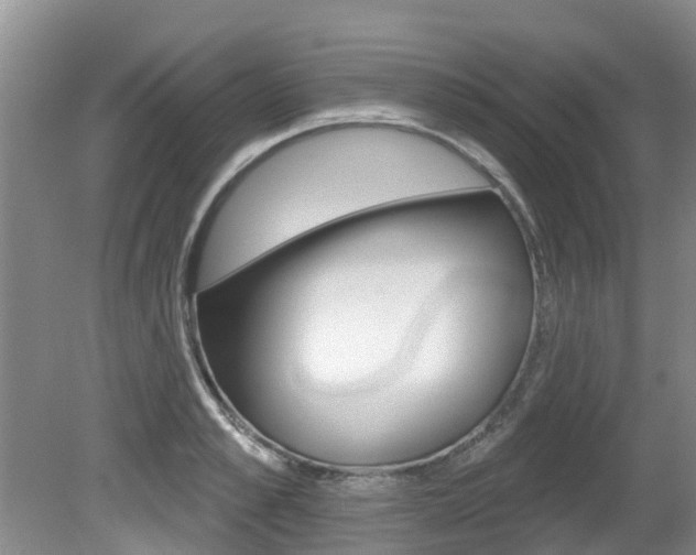 X0000080670989200612150757