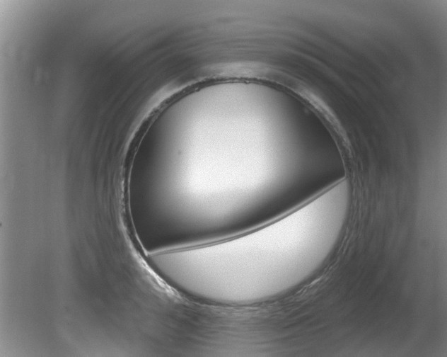 X0000080670992200612150757
