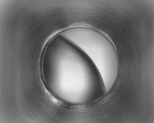 X0000080670995200612150756