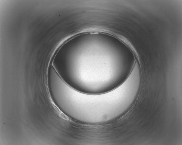 X0000080670996200612150756