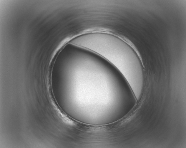 X0000080670997200612150756