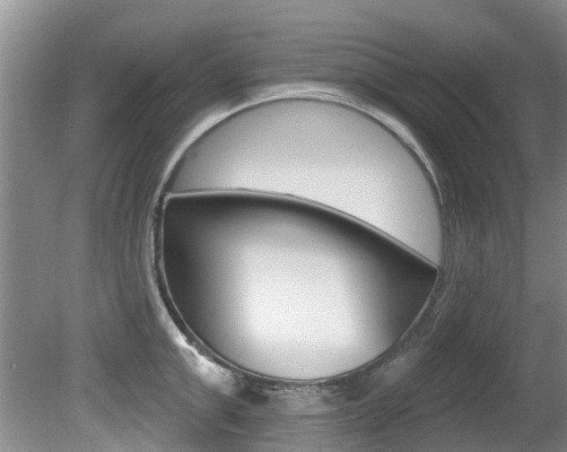 X0000080670999200612150756