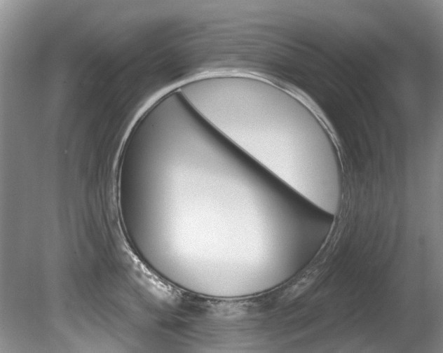 X0000080671004200612150756