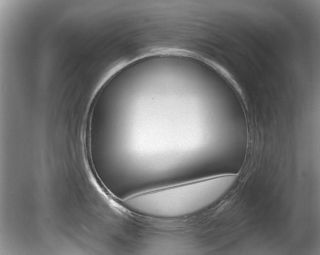 X0000080671007200612150756