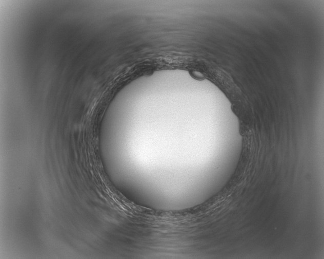 X0000080671009200612150755