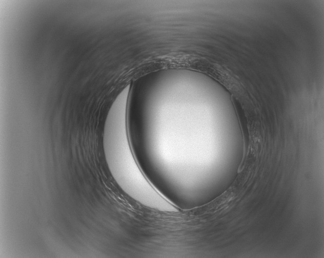 X0000080671010200612150755