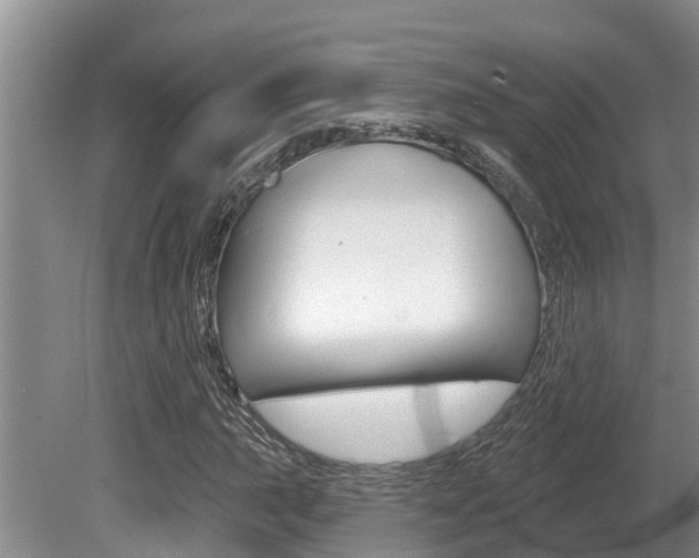 X0000080671015200612150756