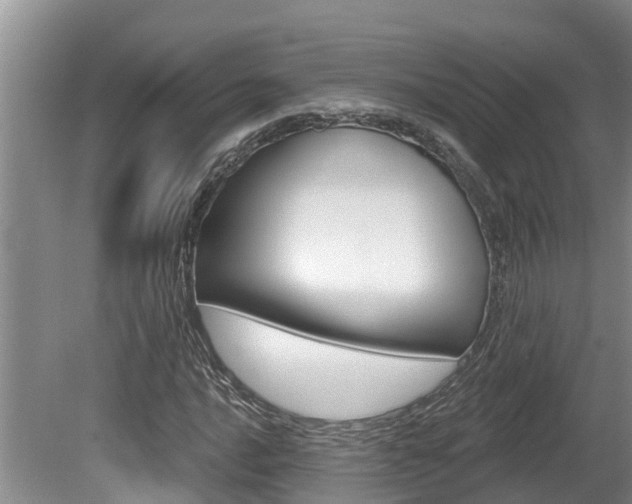 X0000080671016200612150756