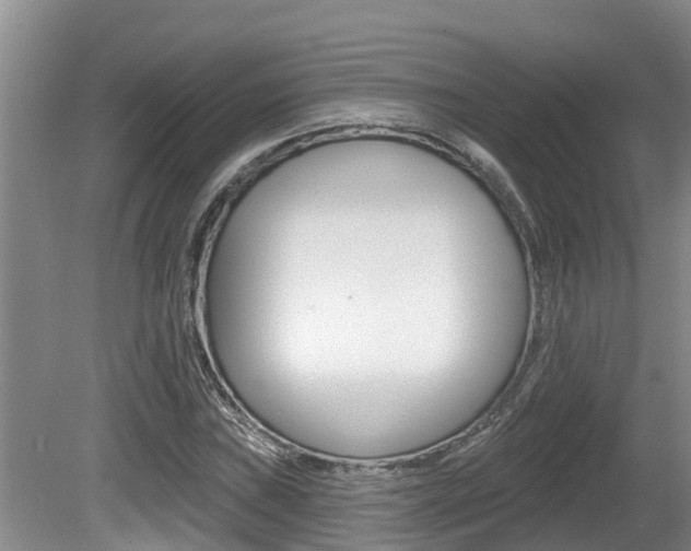 X0000080671019200612150756