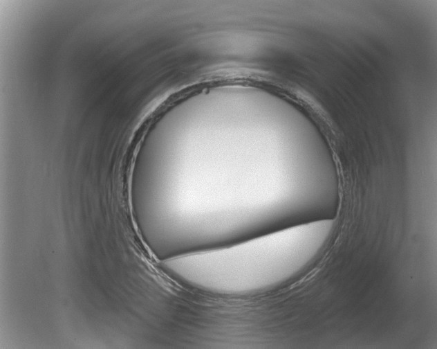 X0000080671023200612150756