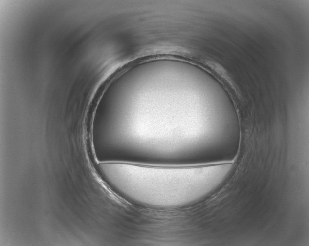 X0000080671024200612150756