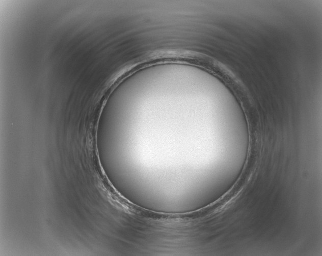 X0000080671025200612150756