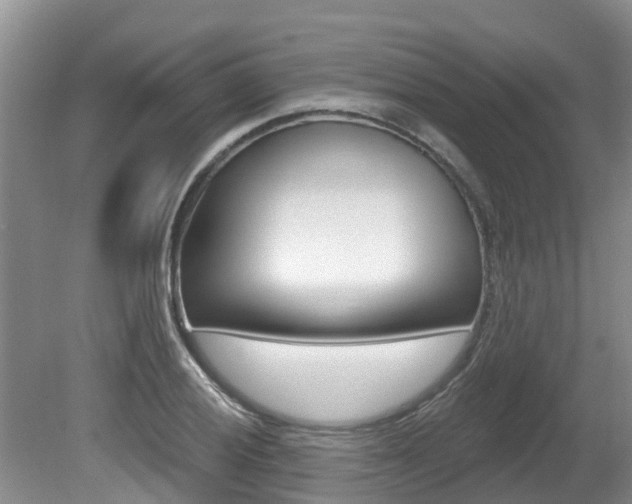 X0000080671028200612150756