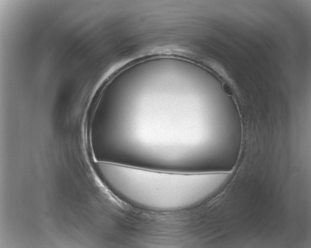X0000080671032200612150756
