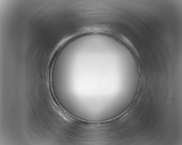 X0000080671035200612150756