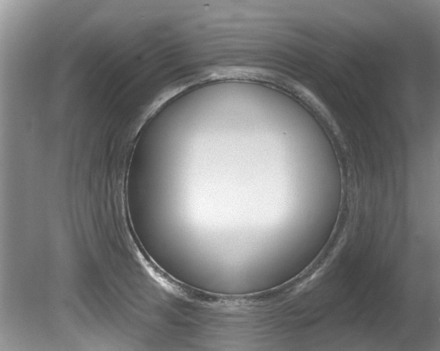 X0000080671041200612150756