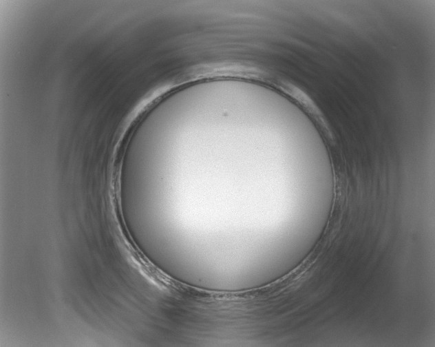 X0000080671043200612150756