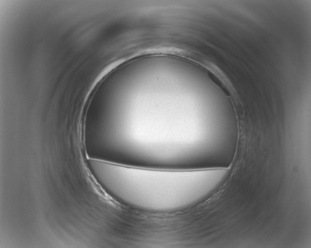 X0000080671044200612150756