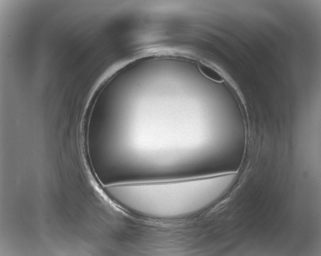 X0000080671045200612150756