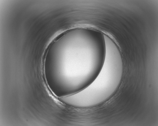 X0000080671046200612150756
