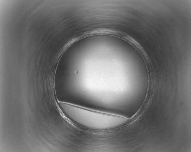 X0000080671049200612150756
