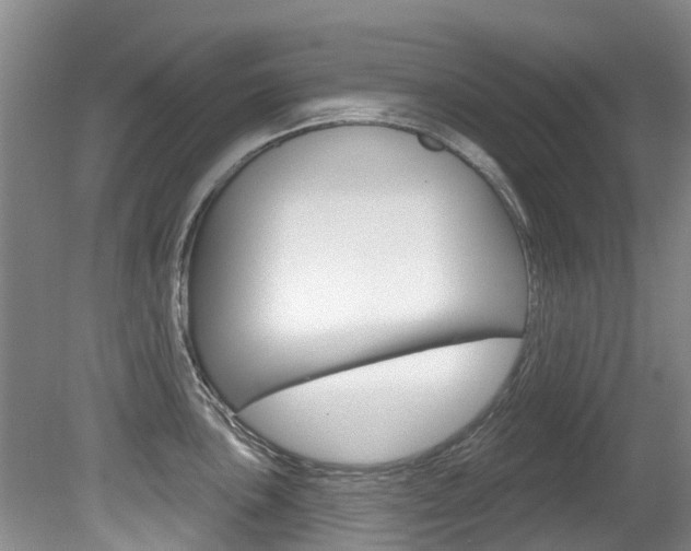 X0000080671051200612150756